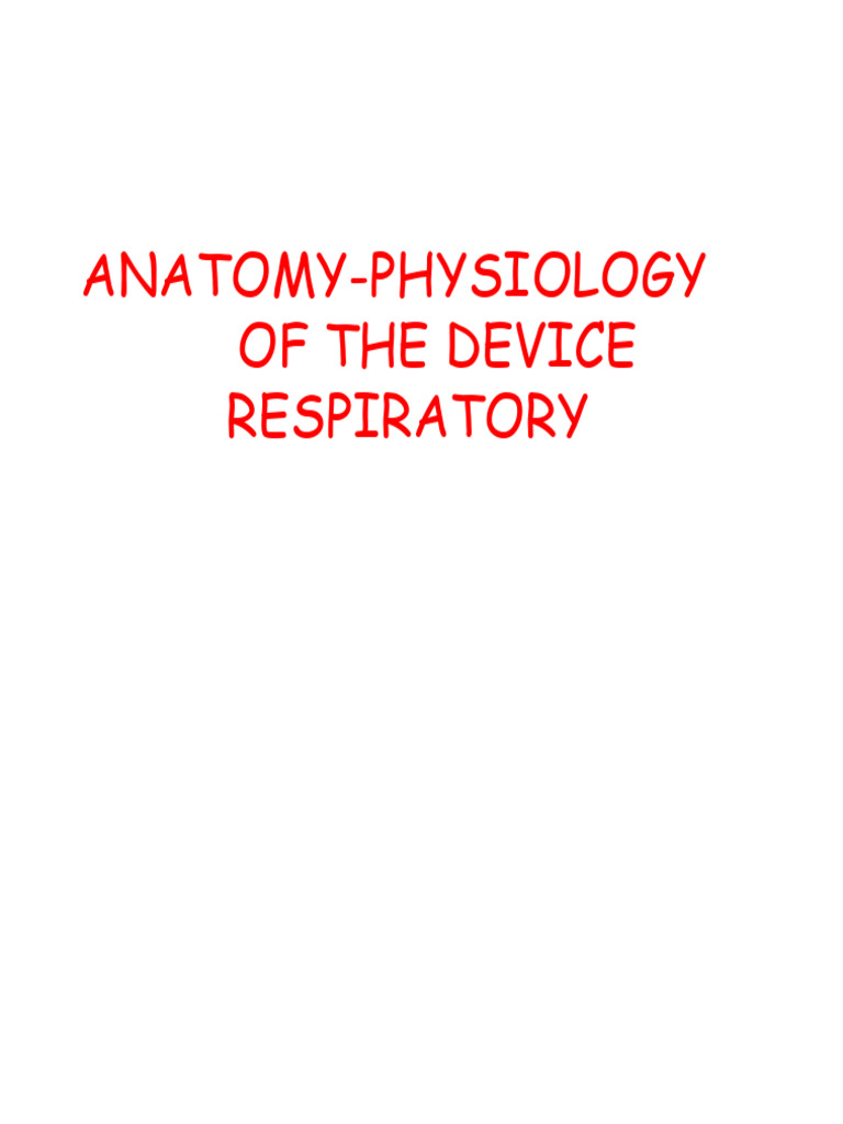 Anatomy and Physiology of the Respiratory System | PDF | Lung ...