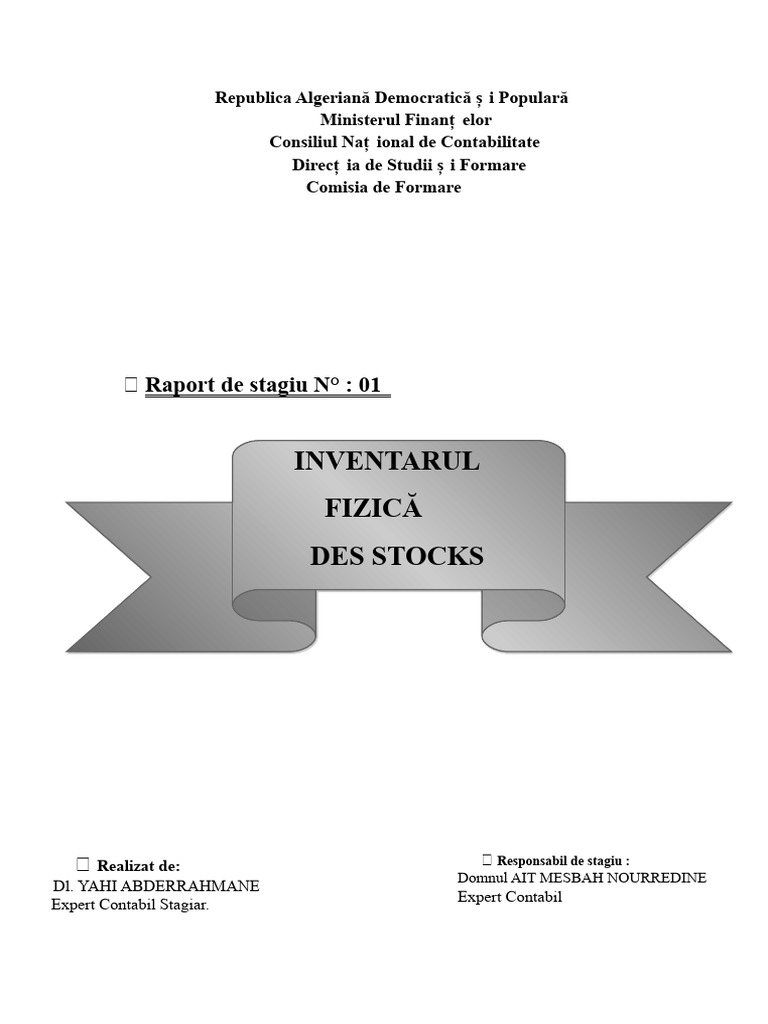 RAPORT NR. 01 Inventarul | PDF