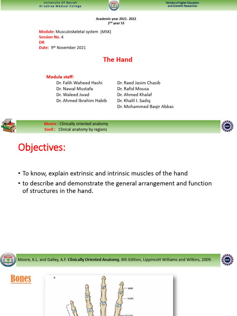 MSK Session 4 DR 6. Hand | PDF | Hand | Thumb