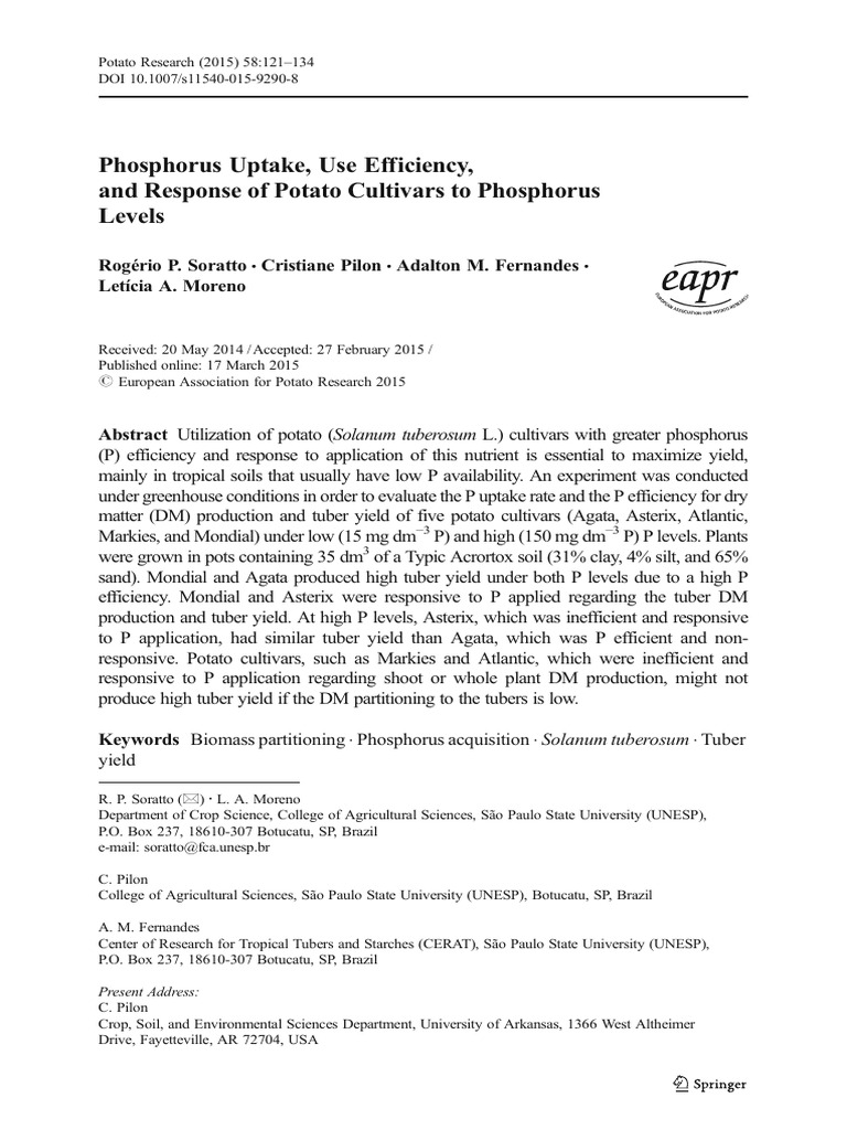 Phosphorus Uptake, Use Efficiency, and Response of Potato Cultivars To ...