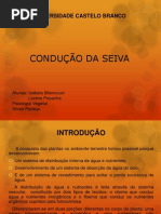CONDUÇÃO DA SEIVA