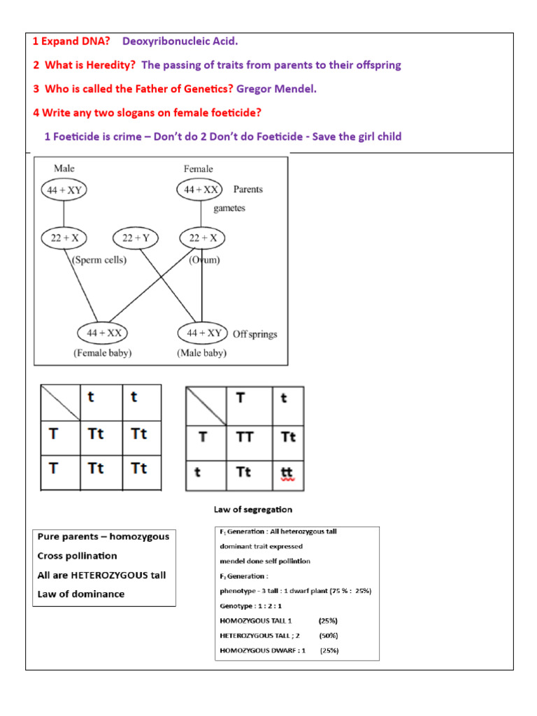 DNA, Heredity, and Genetics Insights | PDF