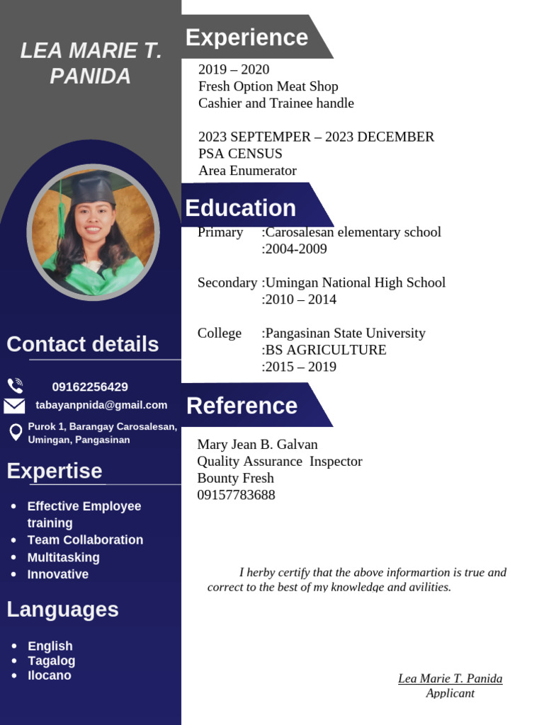 Resume New Format | PDF