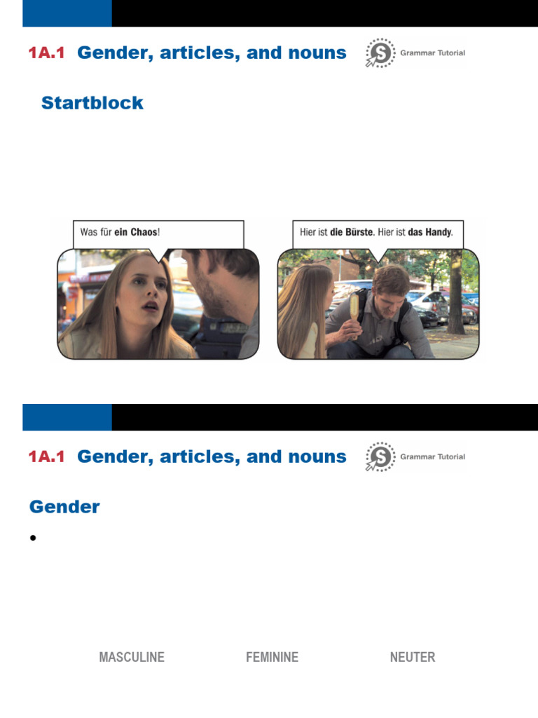 Lesson 1A Gender Articles and Nouns | PDF | Grammatical Gender | Noun