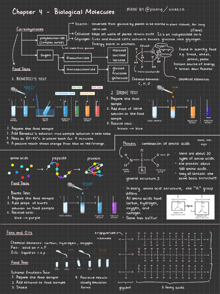 Bio Mol | PDF