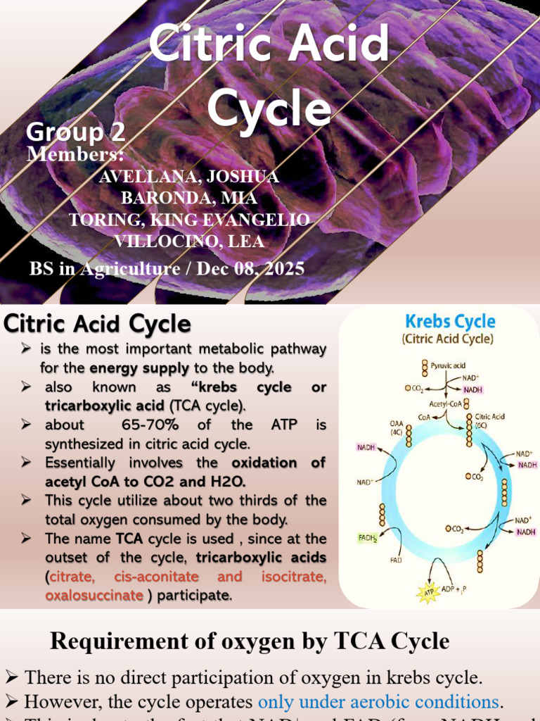 Overview of the Citric Acid Cycle | PDF | Diet & Nutrition | Chemistry