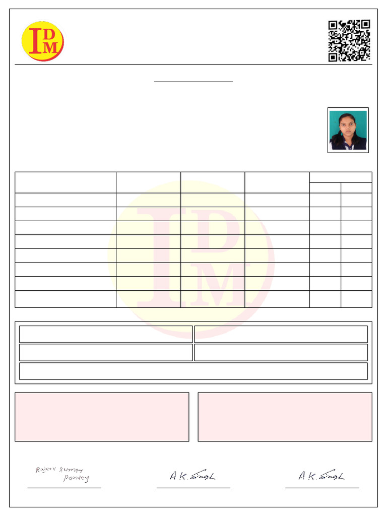 IDM Public School Progress Report 2025 | PDF