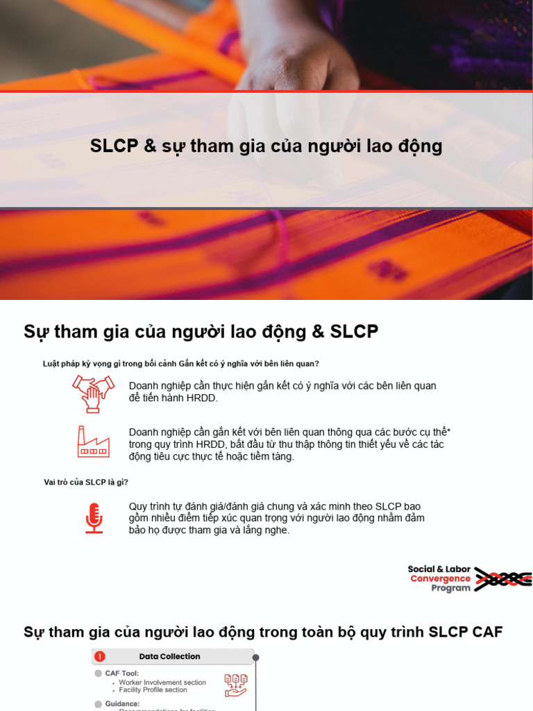 Building Trust and Collaboration in The Workplace SLCP Translated ...