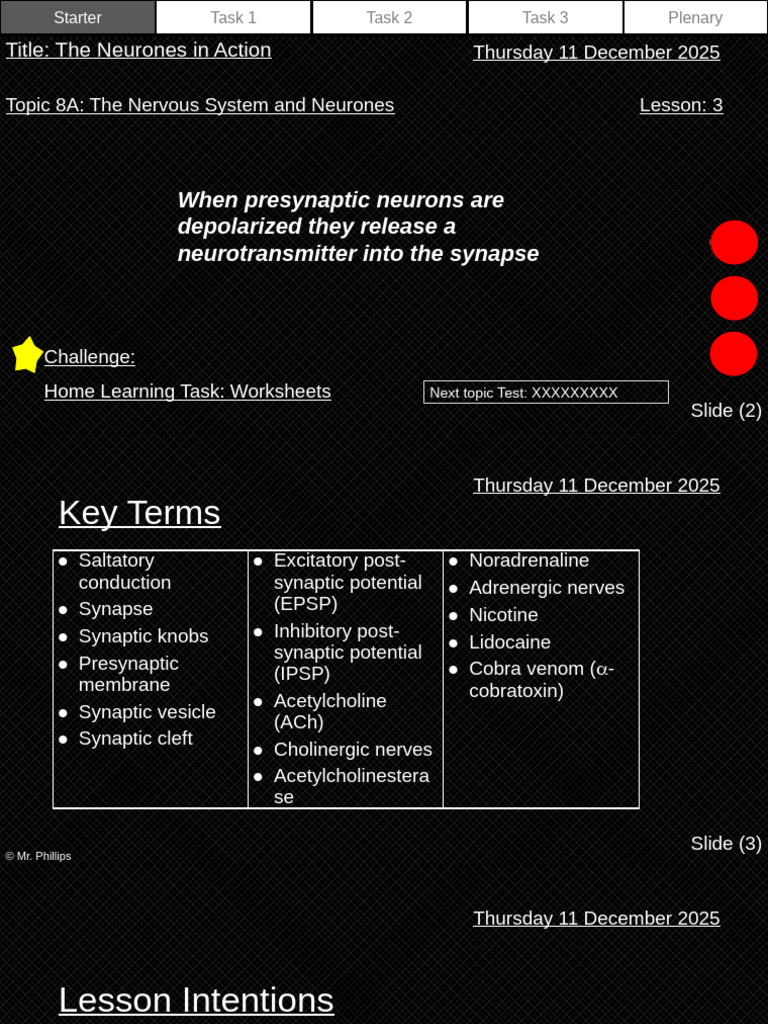 Understanding Neurones and Synapses | PDF | Chemical Synapse | Action ...