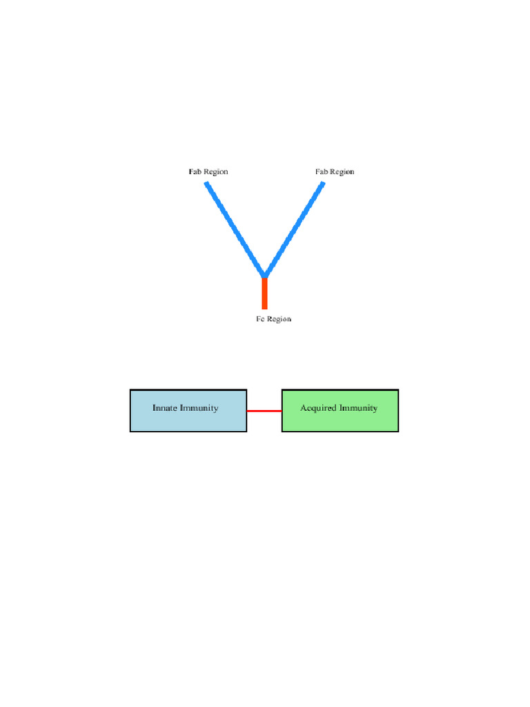 Immunity Project with Diagrams | PDF