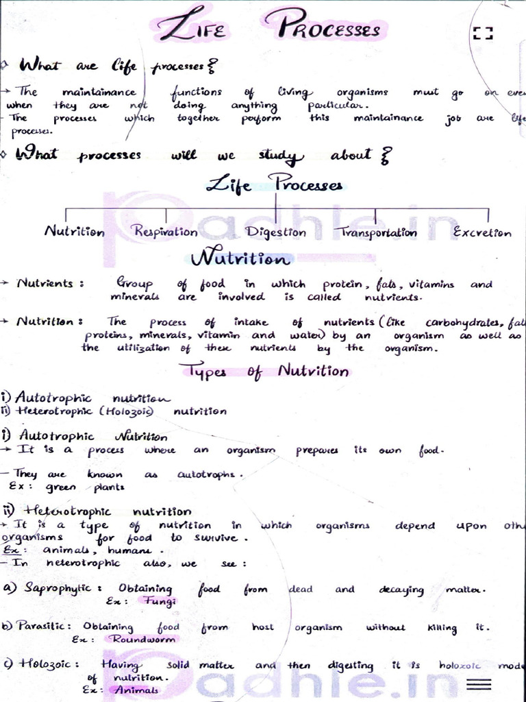Science Chapter 1 Bio | PDF