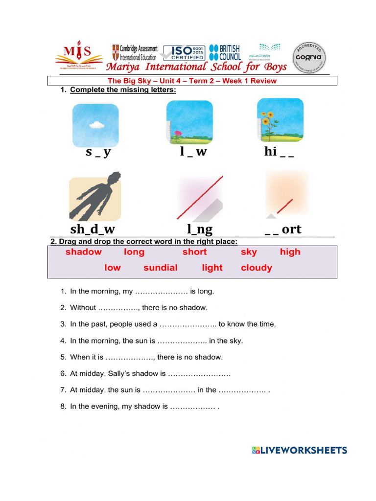 Worksheet 1744544 | PDF