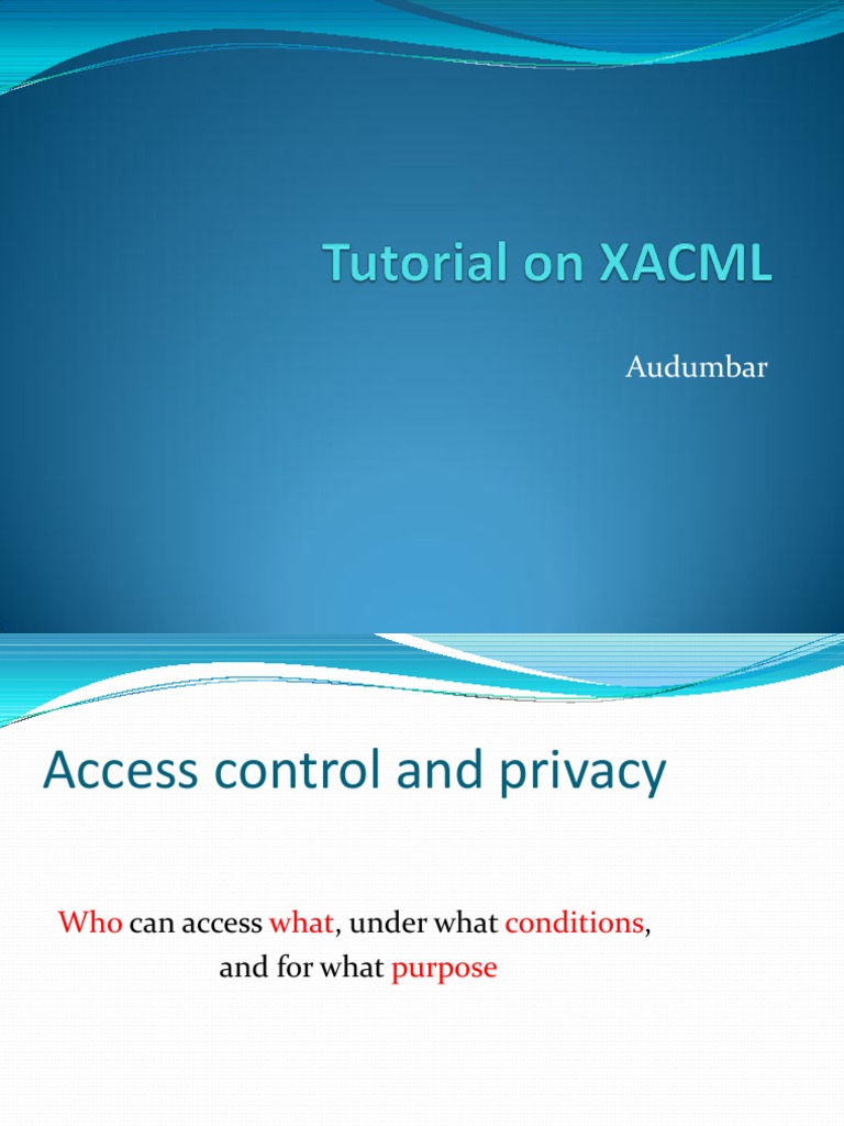XACML Access Control Overview | PDF | Systems Engineering | Information ...