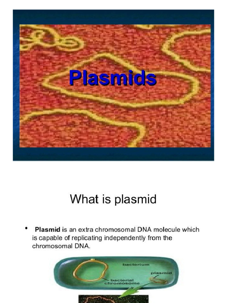 Overview of Plasmid Properties | PDF