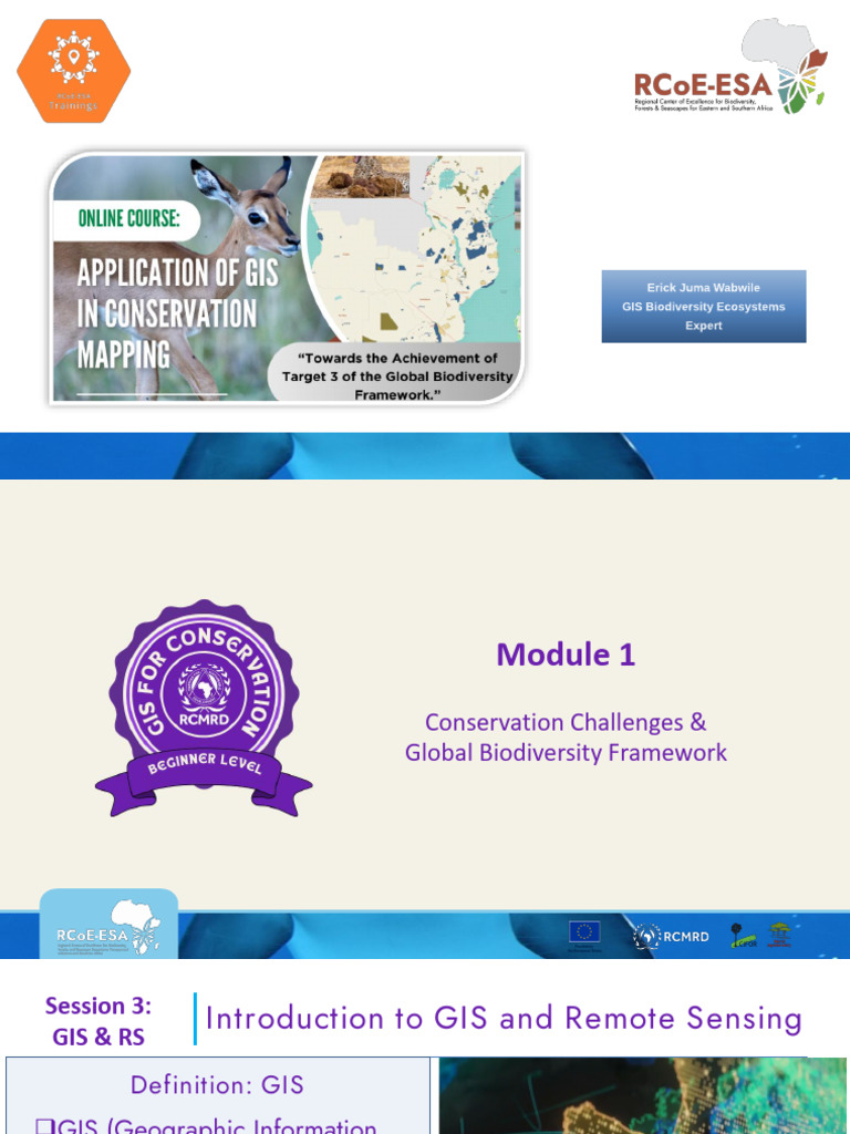GIS and Remote Sensing Overview | PDF | Geographic Information System ...