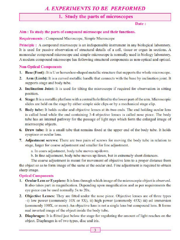 11 A1 Study of Parts of Microscope | PDF