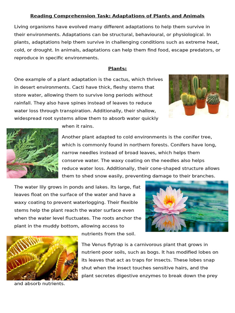 Plant and Animal Adaptations Explained | PDF | Plants | Organisms