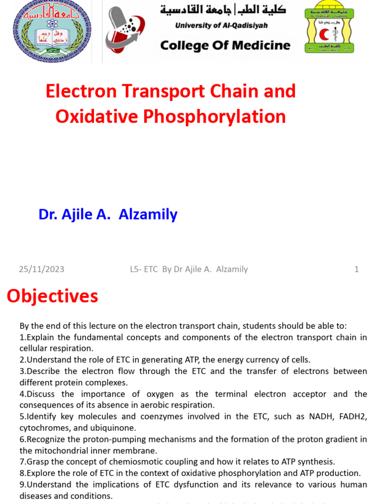 L5 ETC Final Version | PDF | Electron Transport Chain | Adenosine ...