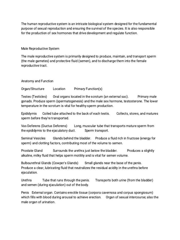 The Human Repro-WPS Office | PDF