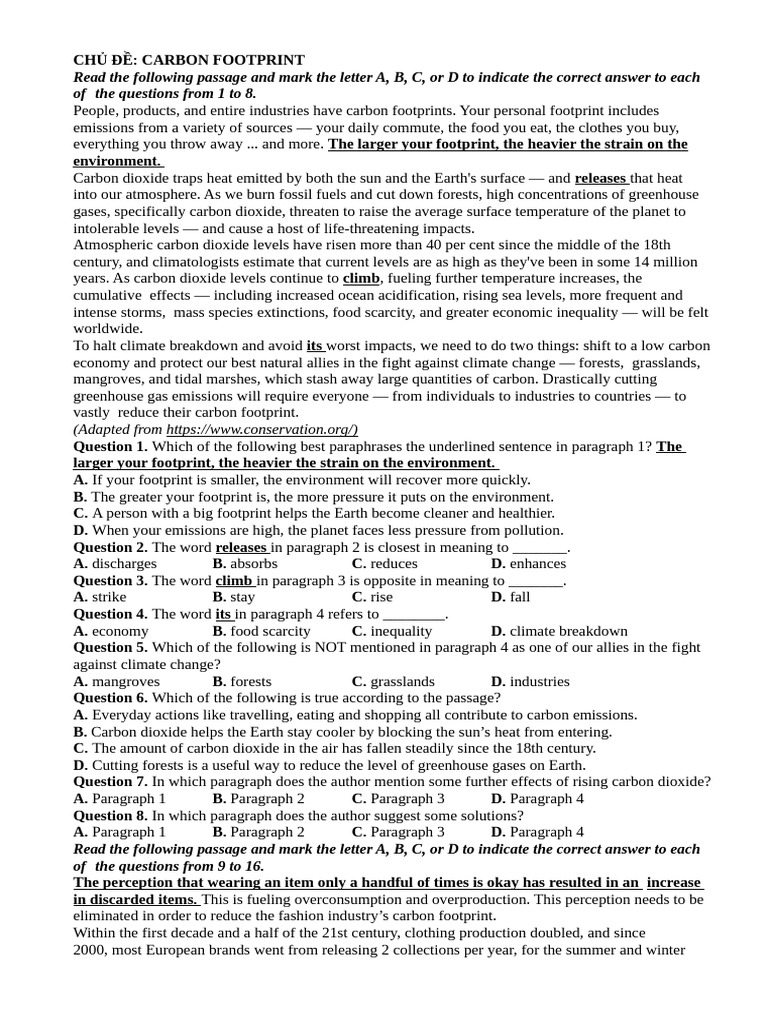 Understanding Carbon Footprint Impacts | PDF | Greenhouse Gas ...