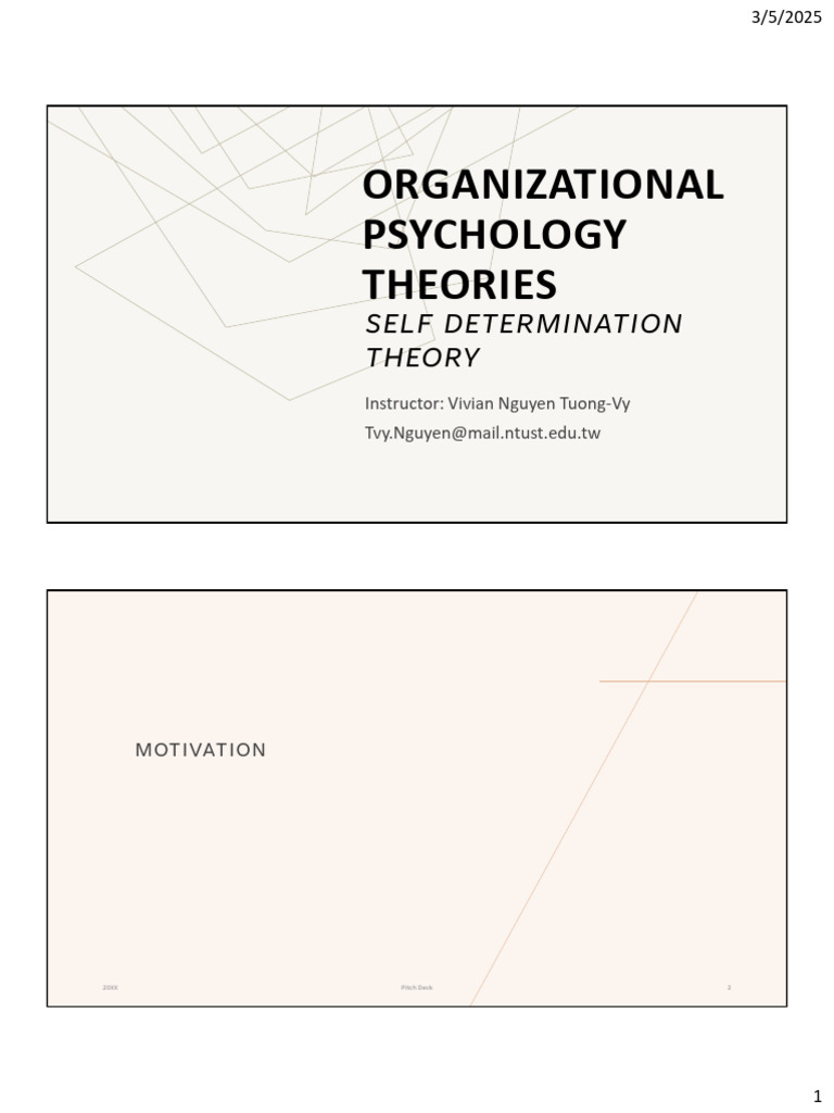 OP 2025 3rd Motivation Self Determination Theory | PDF | Motivational ...