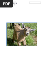 Livestock Isolation and Quarantine Guide | PDF | Quarantine | Livestock
