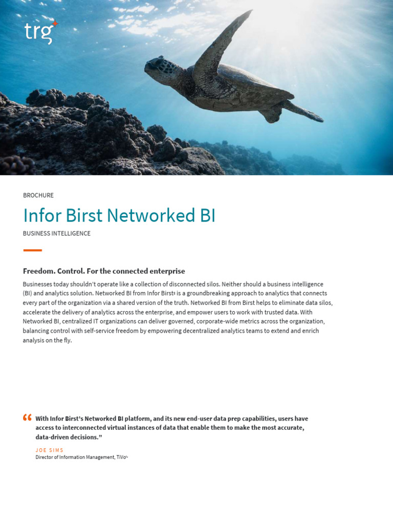 Infor Birst Networked BI Overview | PDF | Analytics | Information ...