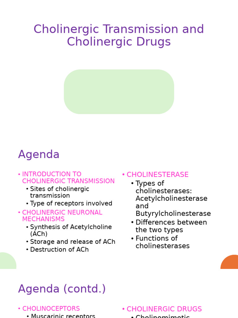 Cholinergic Transmission and Drug Mechanisms | PDF | Acetylcholine