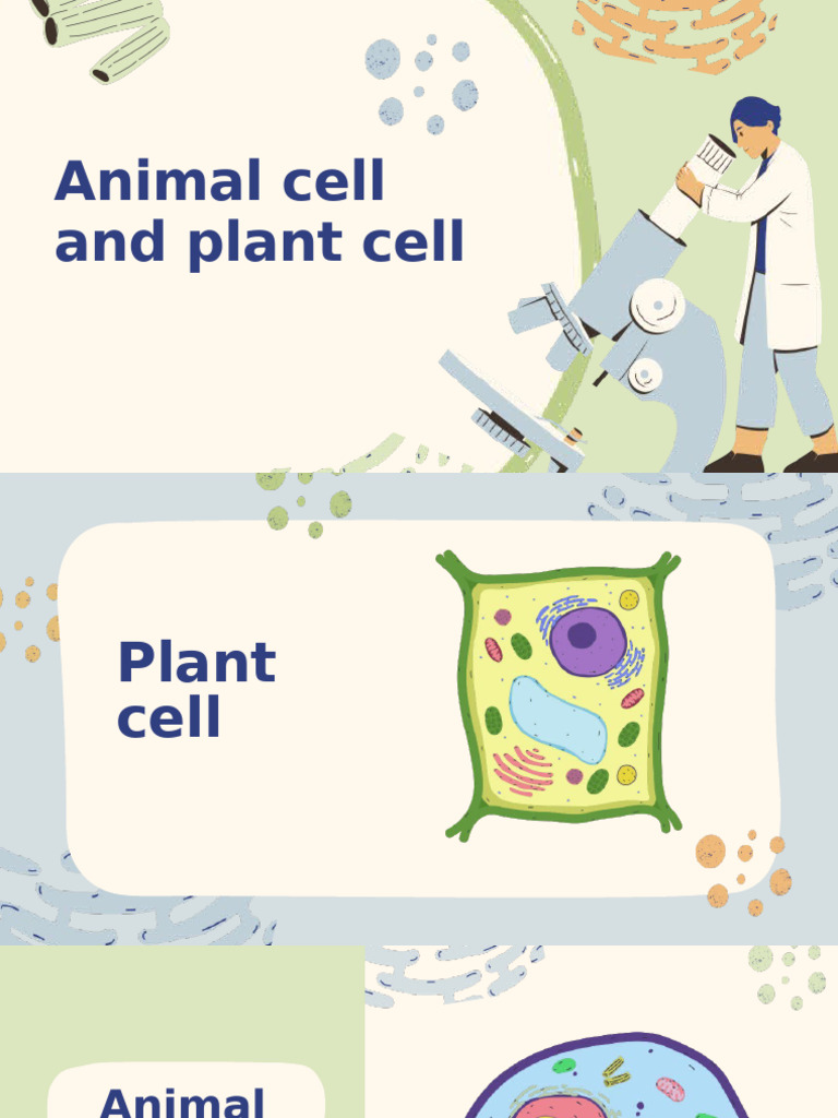 Exploring Cells in Detail Education Presentation in 0 Hand Drawn ...