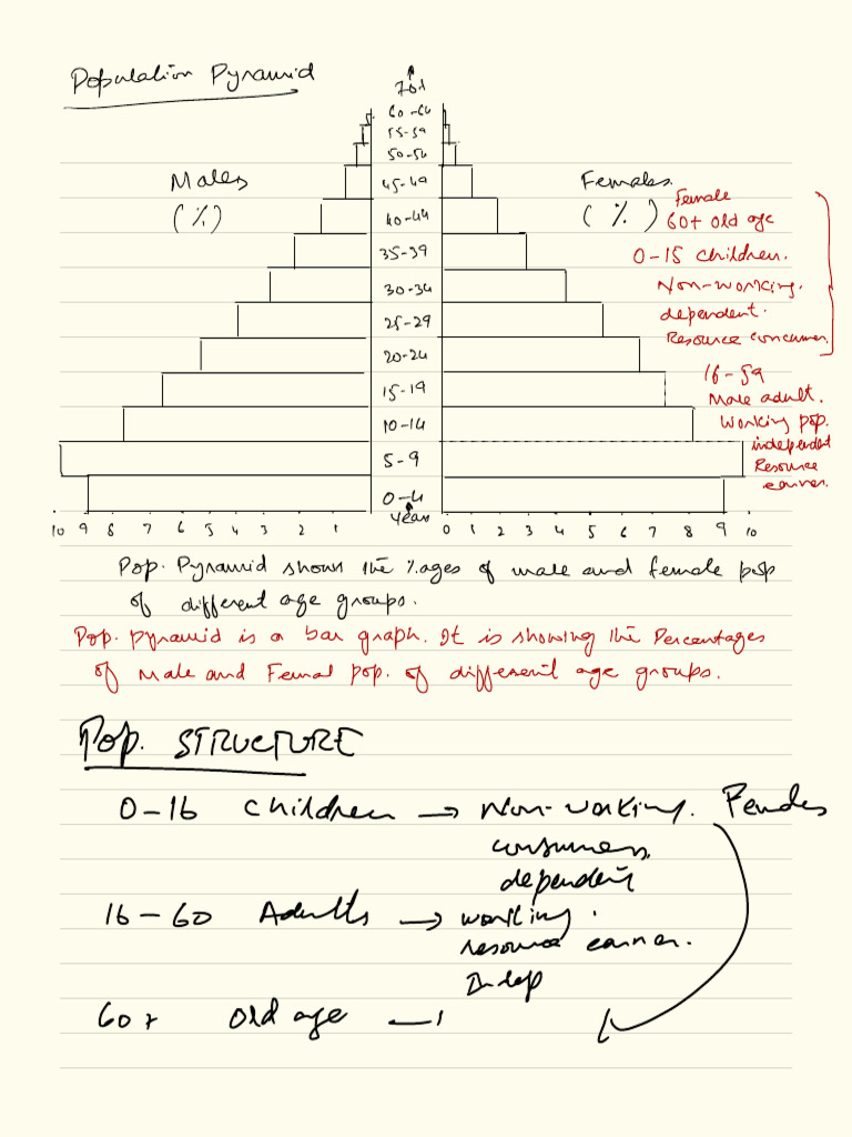 Population Pyramid by Age and Gender | PDF