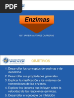 Clase Enzimas
