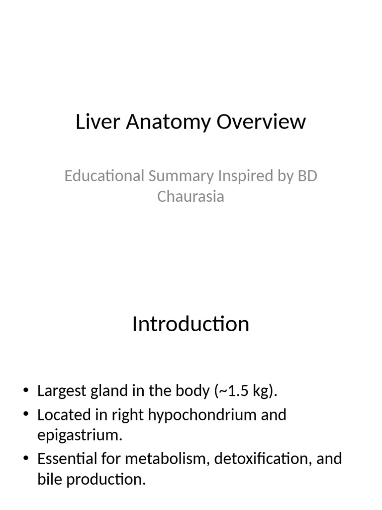 Liver Anatomy and Functions Explained | PDF