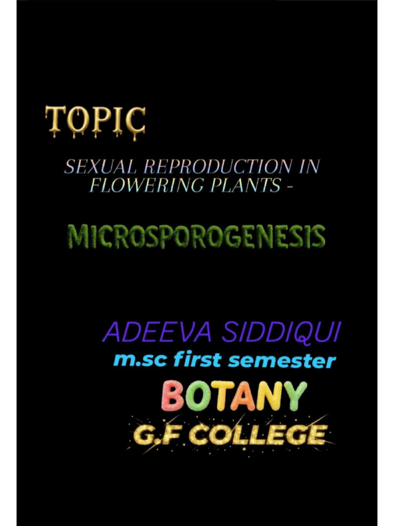 Adeeva Siddiqui | PDF