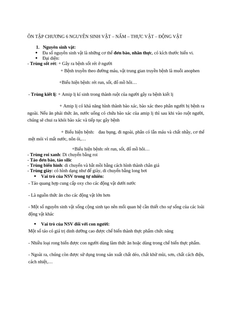 bt tet - KHTN 6 | PDF