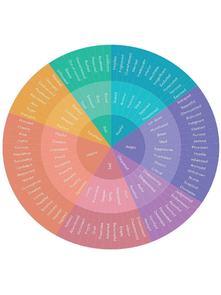 Emotions Wheel | PDF