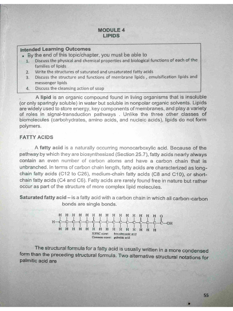 Lipids | PDF