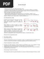 Zonas Donde Más Frecuentemente Se Producen Escaras | PDF | Piel ...