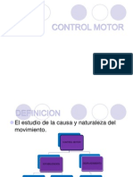 Teorías del control motor y el movimiento humano