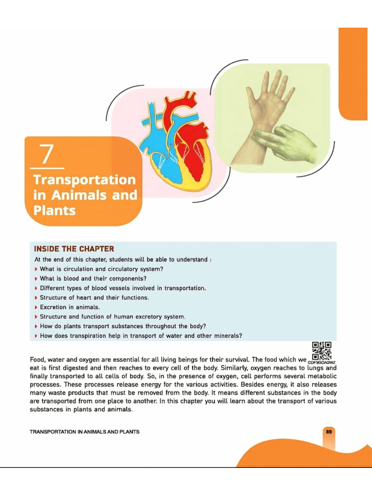 Science Chapter 7 | PDF