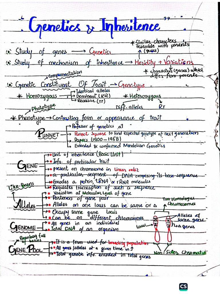 Genetics | PDF