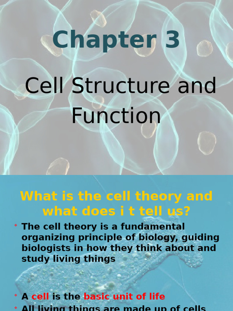 Understanding Cell Structure and Function | PDF | Endoplasmic Reticulum ...