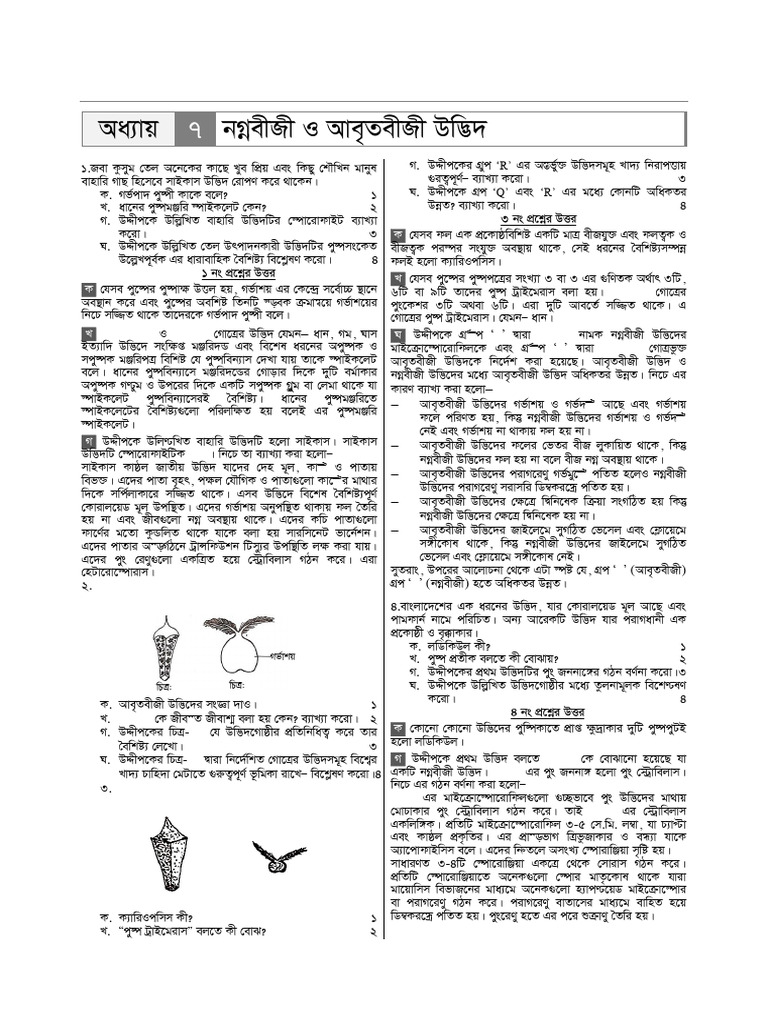 Bio Chap 07 Suggestion | PDF