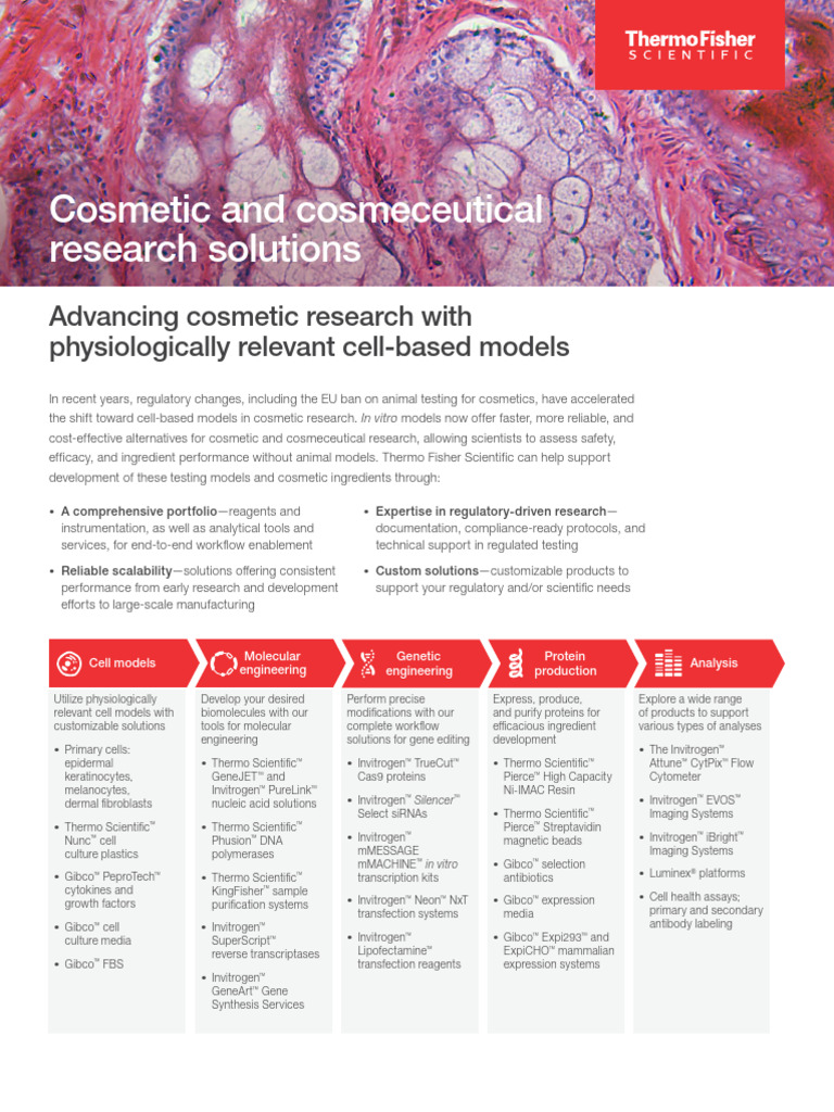 Elevate Your Cosmetic Research With Advanced Cell Based Models ...