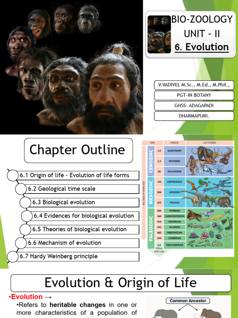 Bio Zoo - 6.Evolution | PDF | Natural Selection | Homo