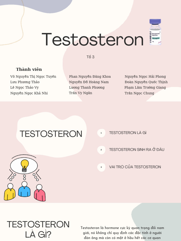 Testosteron 1 | PDF