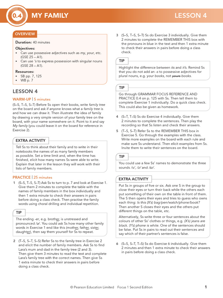 Family Vocabulary and Possessives Lesson | PDF | Noun | Grammatical Number