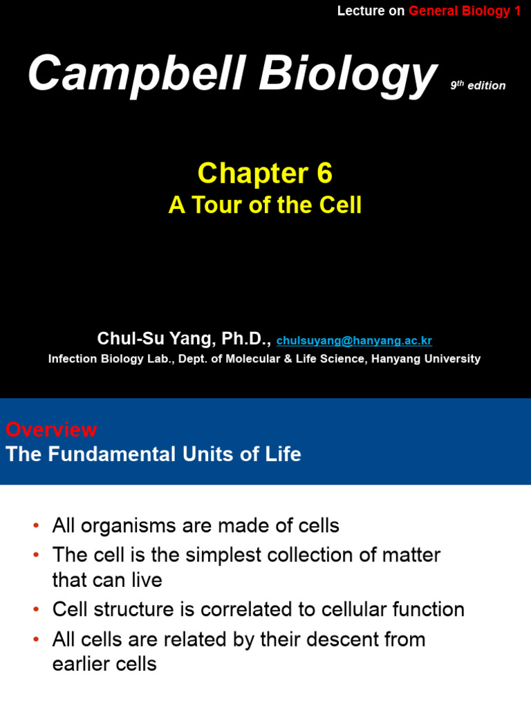 6 | PDF | Endoplasmic Reticulum | Cell (Biology)