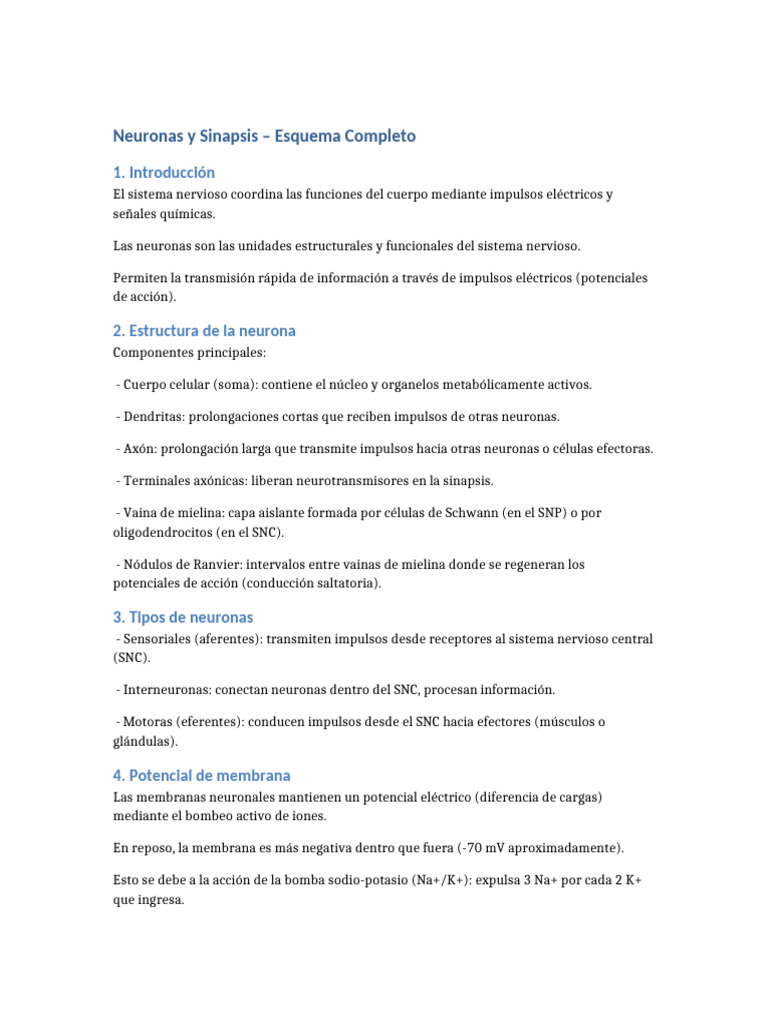 Neuronas y Sinapsis: Esquema Completo | PDF | Sinapsis | Potencial de ...