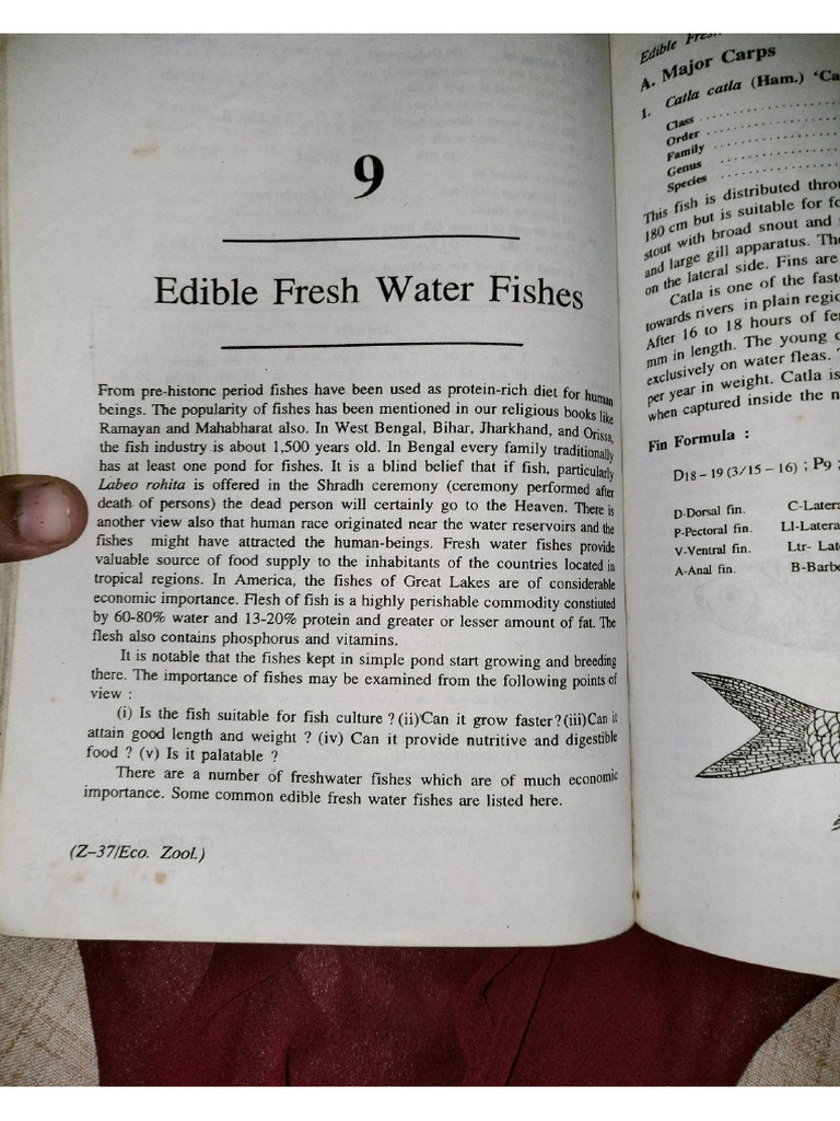 Edible Fishes Compress | PDF