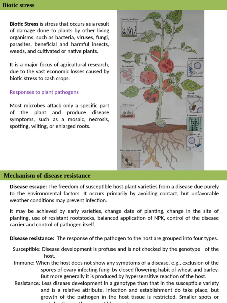 Understanding Biotic Stress in Plants | PDF | Cell Signaling | Signal ...